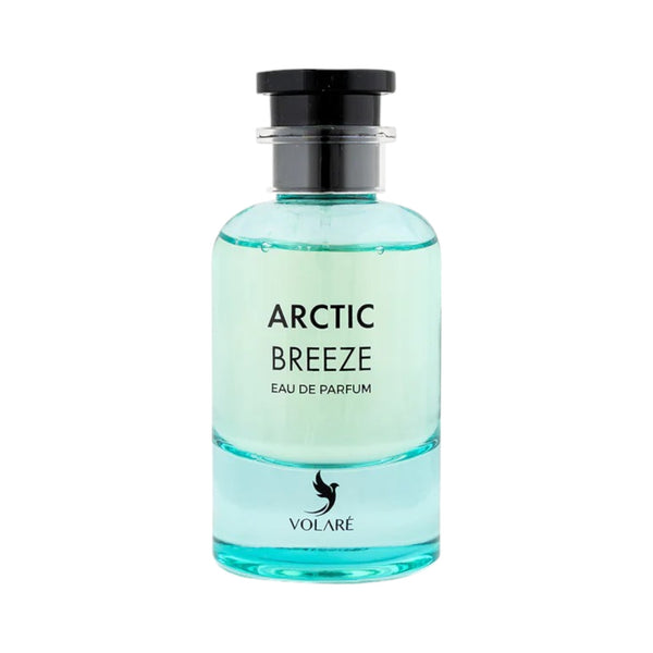 Arctic Breeze 100ml EDP by Volare – Fresh Citrus and Woody Perfume