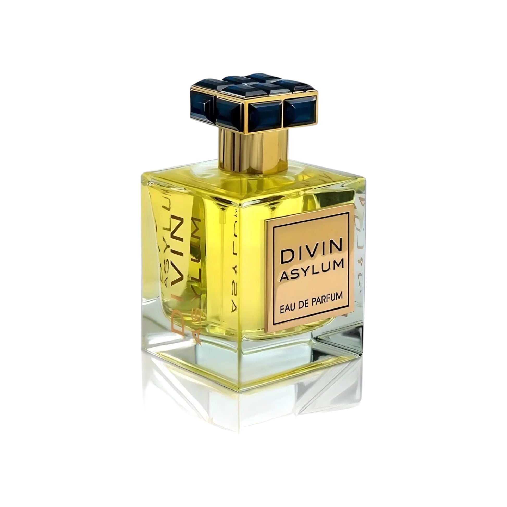 Divin Asylum Perfume 100ml EDP bottle by FA Paris