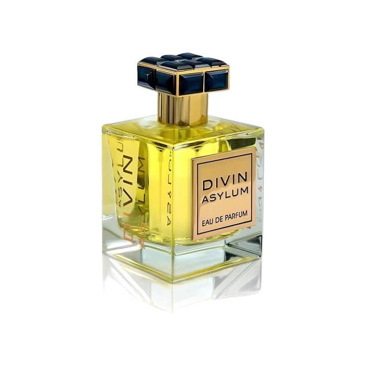 Divin Asylum Perfume 100ml EDP bottle by FA Paris