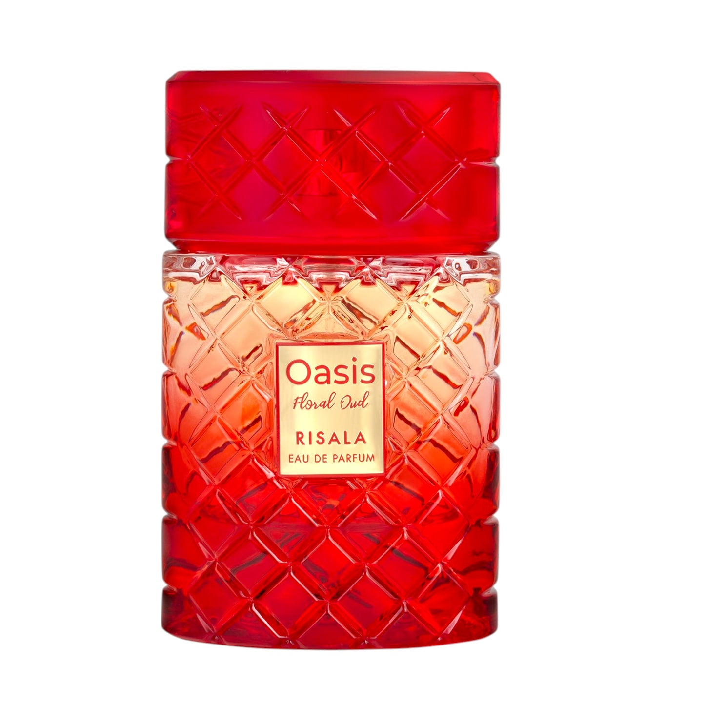 Oasis Floral Oud 100ml EDP – Fruity Floral Vanilla Perfume