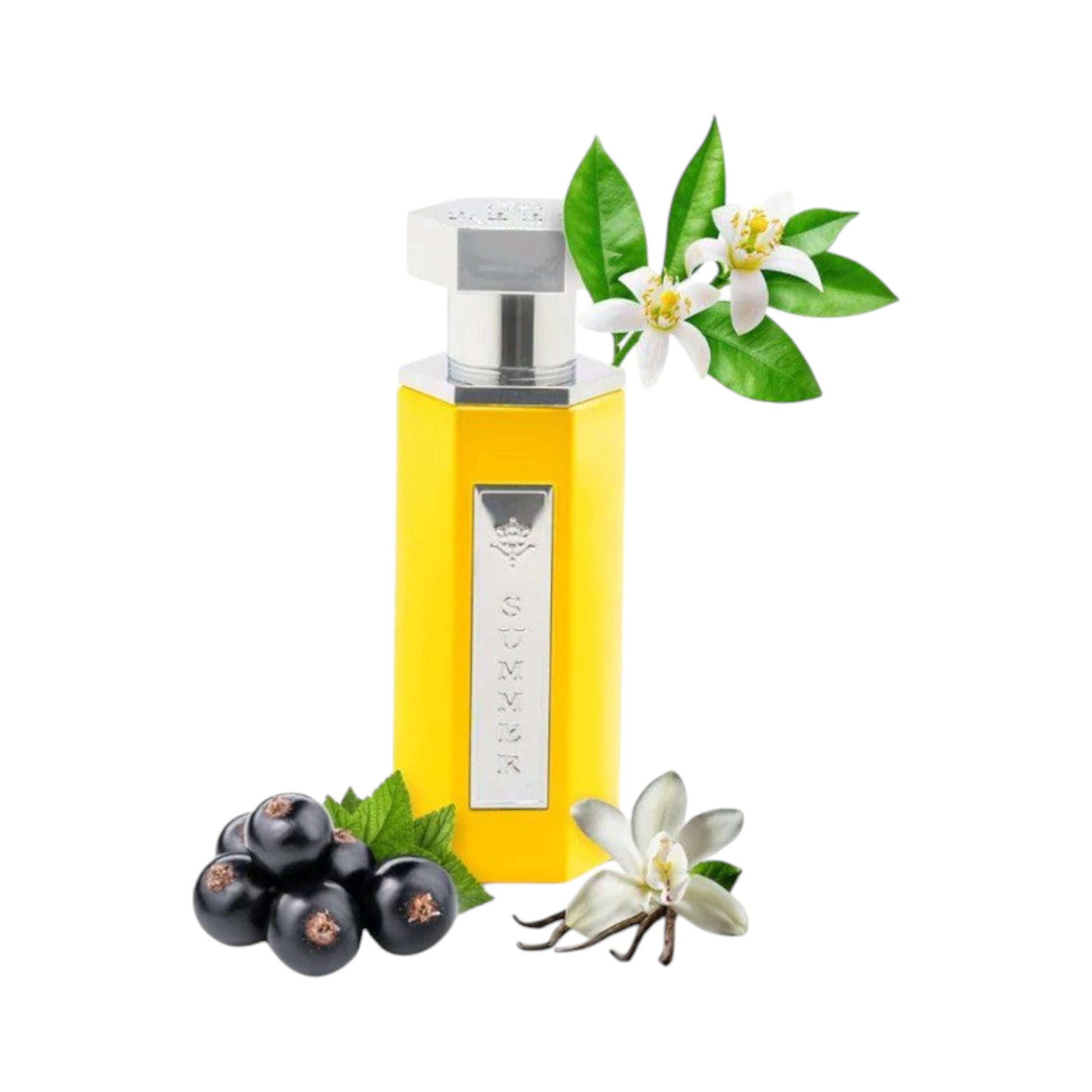 Summer Yellow 100ml EDP by Reef – Citrus Floral Perfume for Women