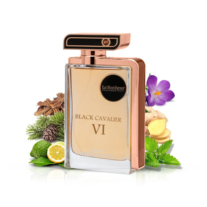 Black Cavalier VI 100ml EDP by Le Bonheur – Woody Spicy Perfume