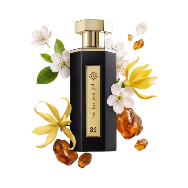 Reef 36 100ml eau de parfum Reef Perfumes