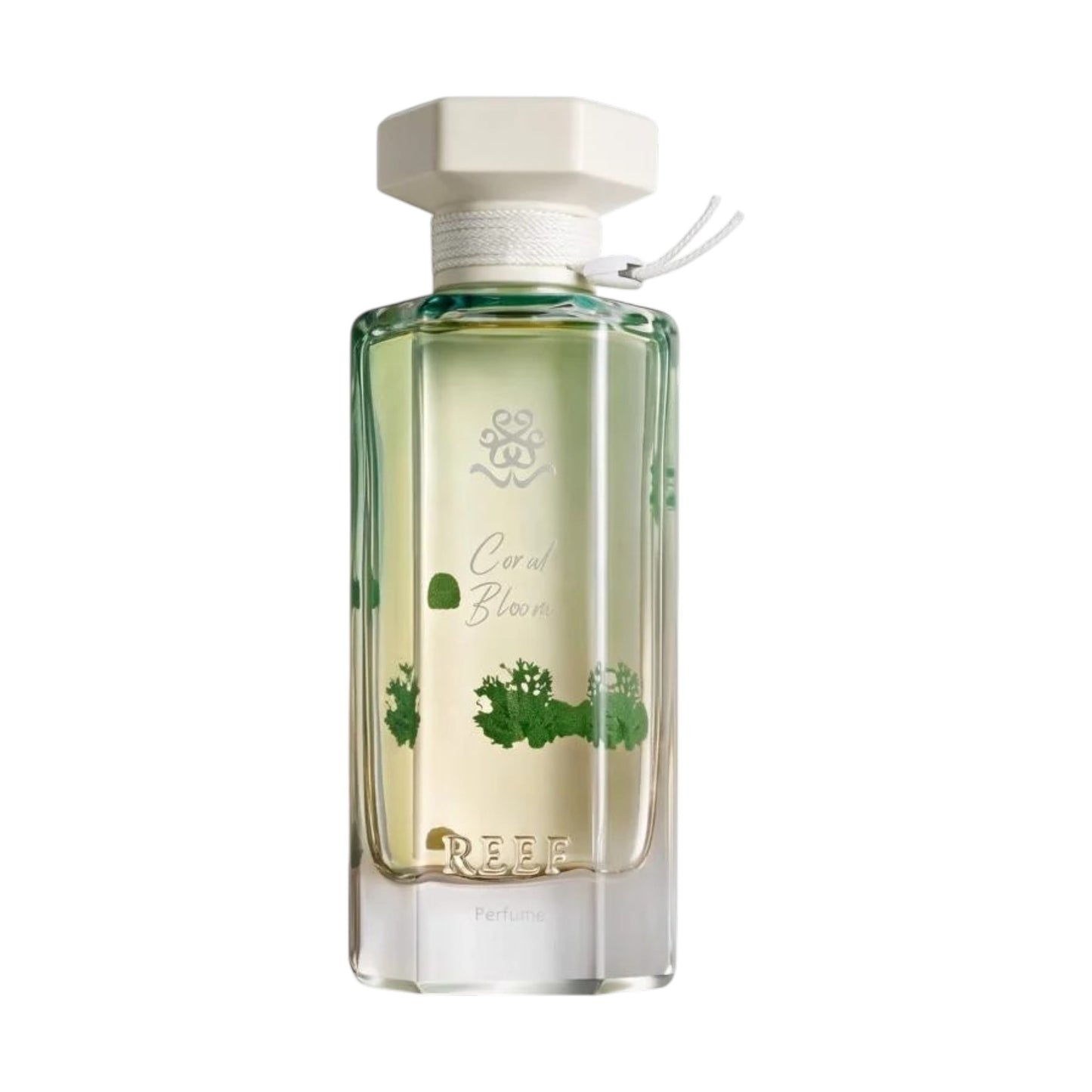 REEF Coral Bloom 100ml Eau De Parfum
